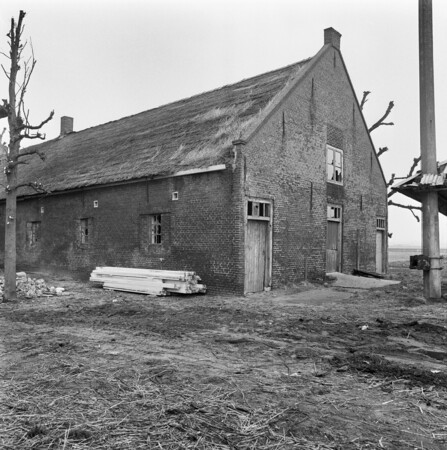 boerderij de bult voorhout