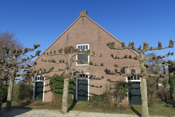 boerderij de bult voorhout