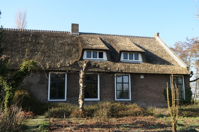 boerderij de bult voorhout