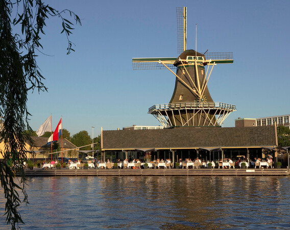 de heesterboom leiden