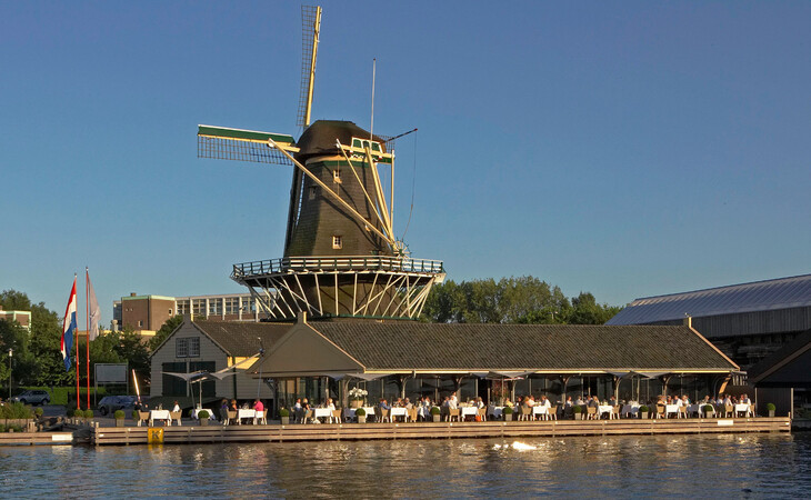 de heesterboom leiden