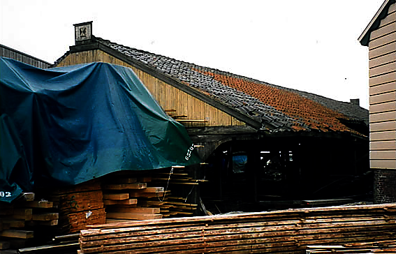 de heesterboom leiden