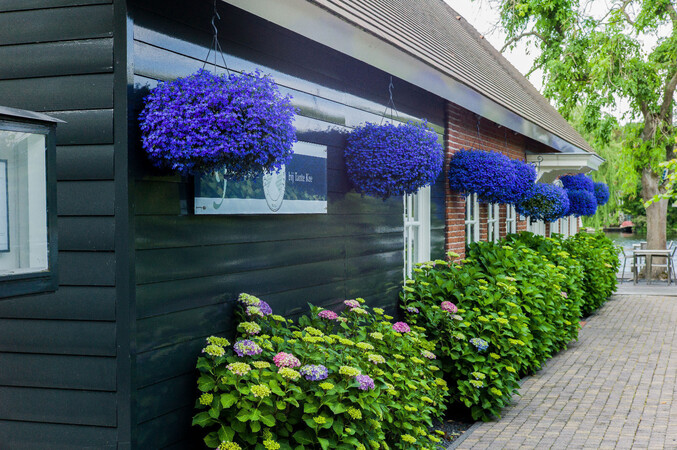 Restaurant Tante Kee Kaag fase 1