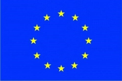 opdracht Europees Parlement verzorgen vergunning